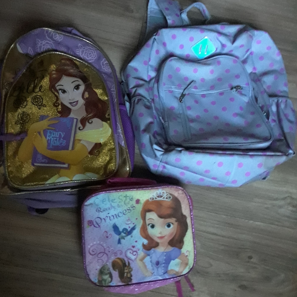 two packbacks and lunchbag